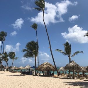 Meet your Posher, Lynn